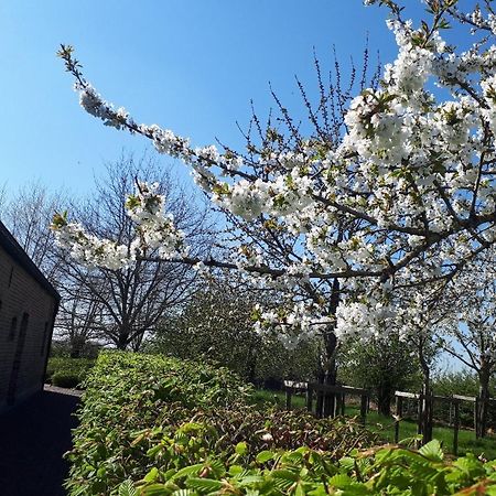Vakantiehoeve De Klepperij Houthulst Bagian luar foto