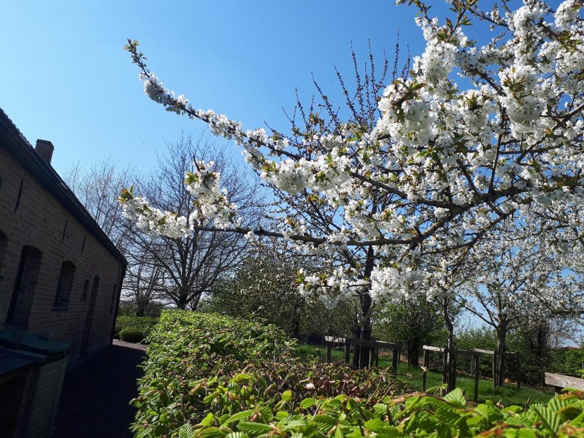 Vakantiehoeve De Klepperij Houthulst Bagian luar foto